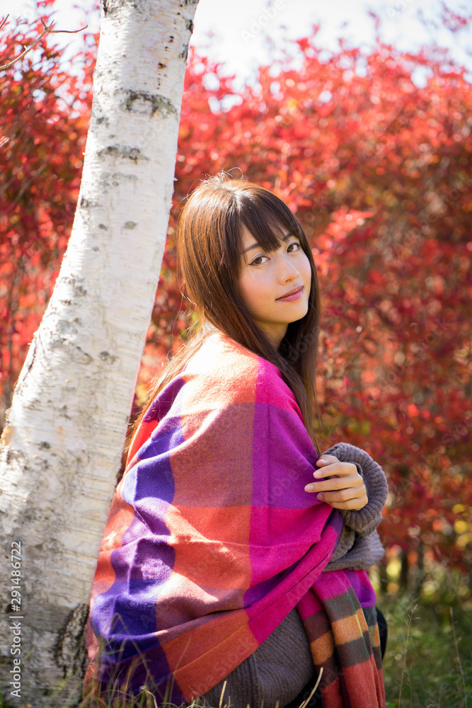 紅葉と白樺と女性 紅葉と白樺と女性