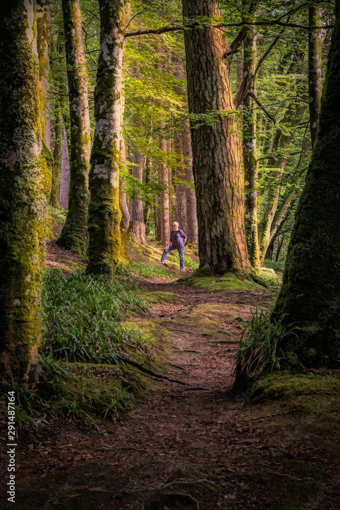 Woman standing in a beautifully lit forest in Glencoe, Scotland.