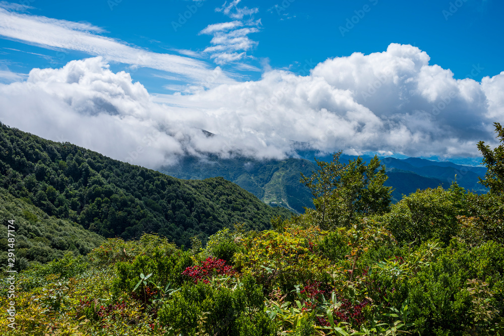 北面白山登山道からの眺め