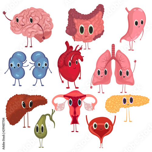 Set of cute and funny healthy human organ characters. Collection of cartoon human organs. Vector illustration for kids.