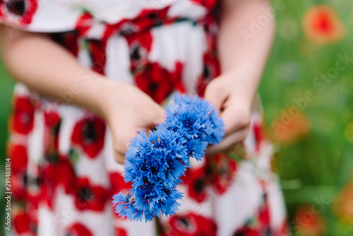 The girl weaves a wreath of bright blue colors. Natural hair decoration from flowers