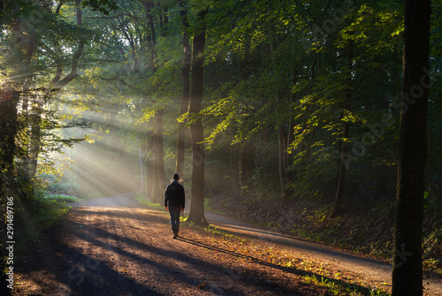 Man walking in a lane with the sunlight breaking through the trees.