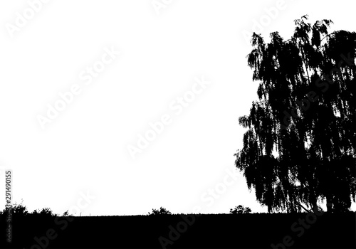 Black tree forest silhouette. Card with copy space. Isolated on white background. Vector nature illustration