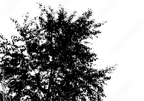 Black tree silhouette. Card with copy space. Isolated on white background. Vector nature illustration