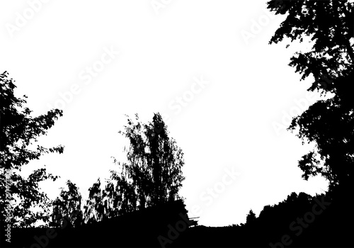 Black tree forest silhouette. Card with copy space. Isolated on white background. Vector nature illustration