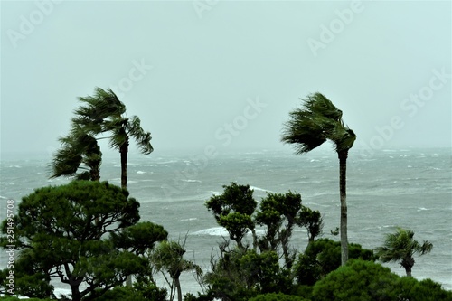 Tableau sur toile 台風