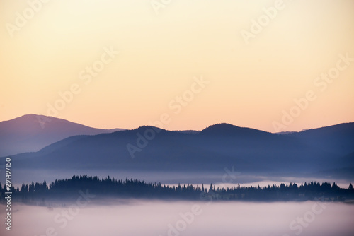 Silhouette of mountains and morning fog in a valley among coniferous forests. Beautiful majestic nature in the early morning.