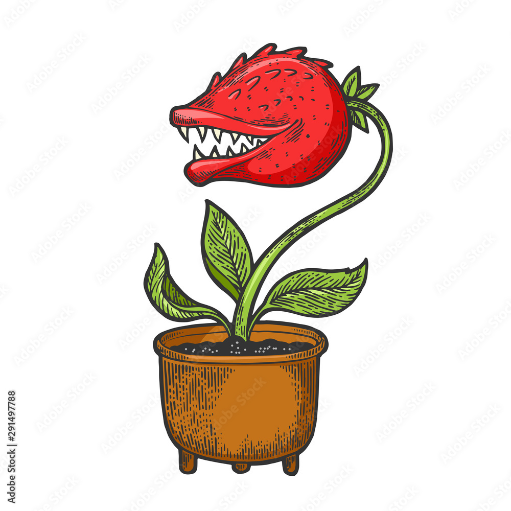 Cartoon flower with teeth sketch engraving vector illustration. Tee ...