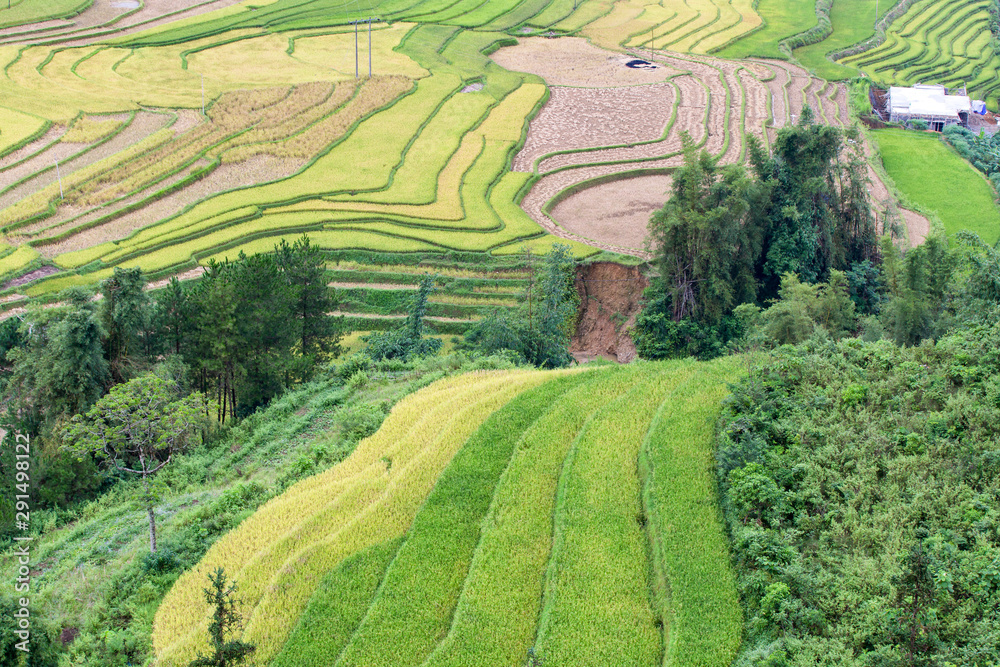 Green terraces rice field at Mu Cang Chai