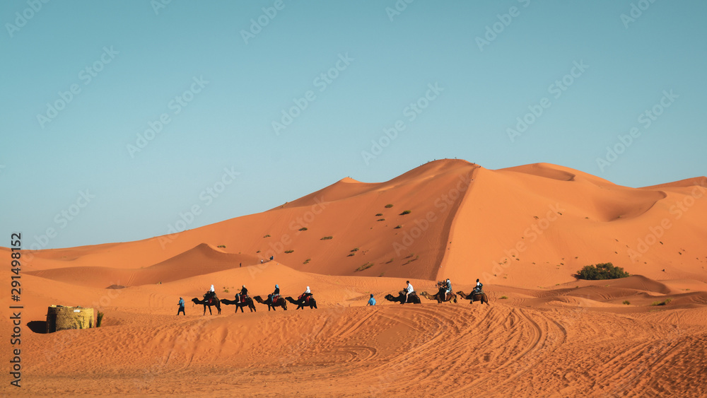 The beautiful golden sand dunes of Merzouga, Morocco