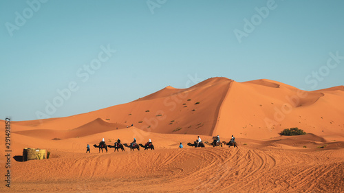 Fototapeta Naklejka Na Ścianę i Meble -  The beautiful golden sand dunes of Merzouga, Morocco