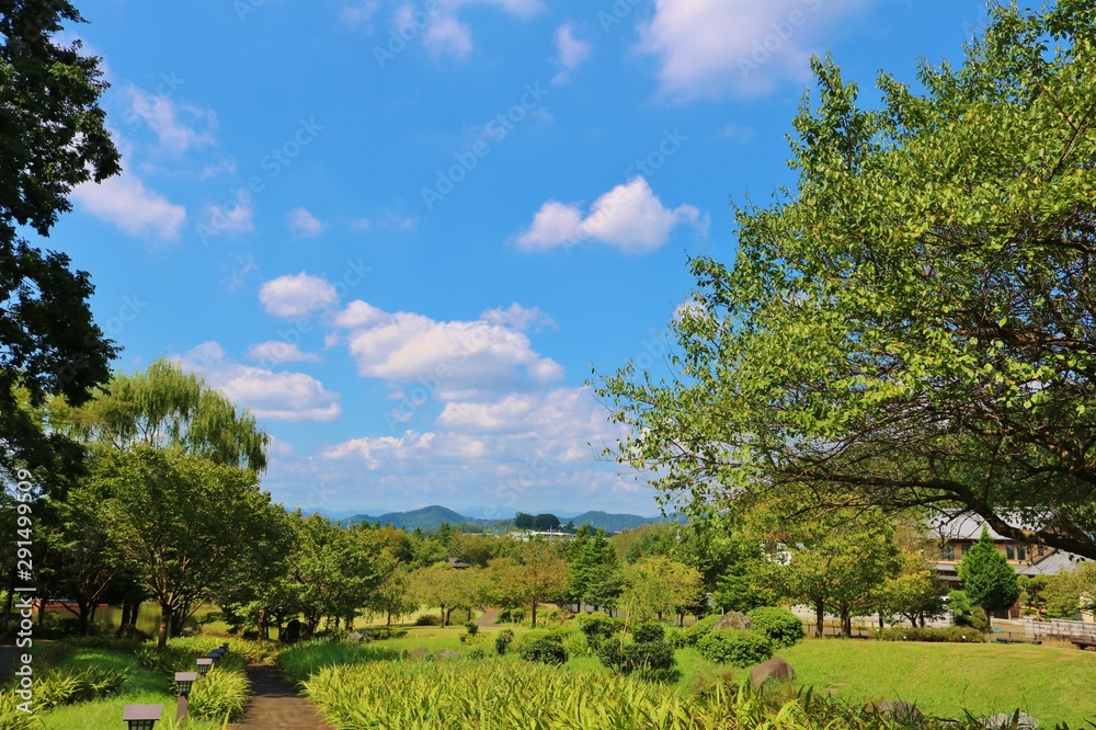 風景　秋　空　道　杤木