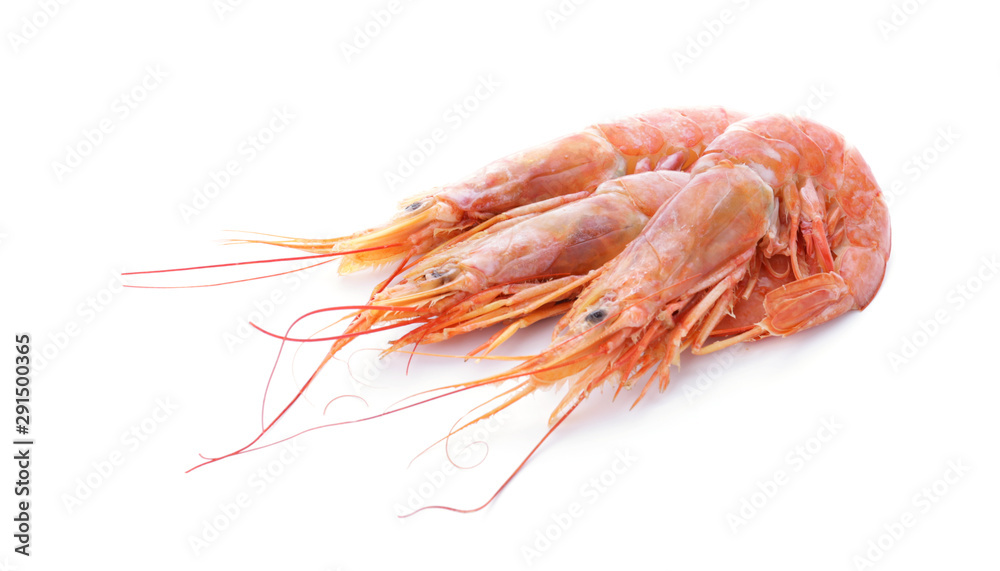 Tasty shrimps on white background Tasty shrimps on white background