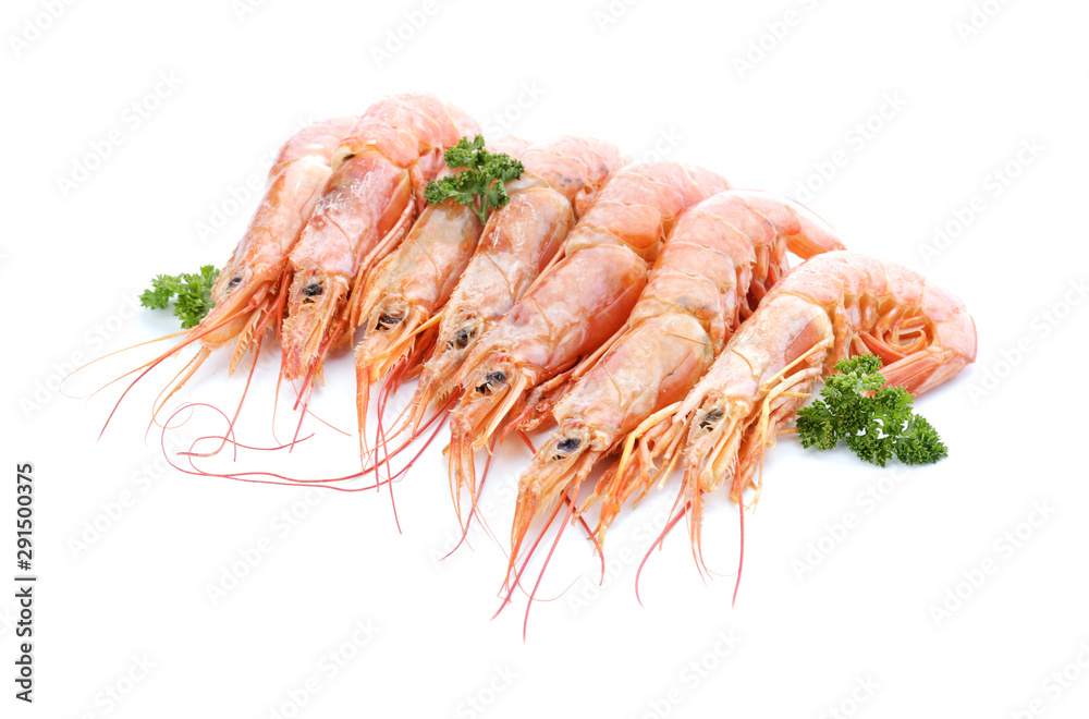 Tasty shrimps on white background Tasty shrimps on white background