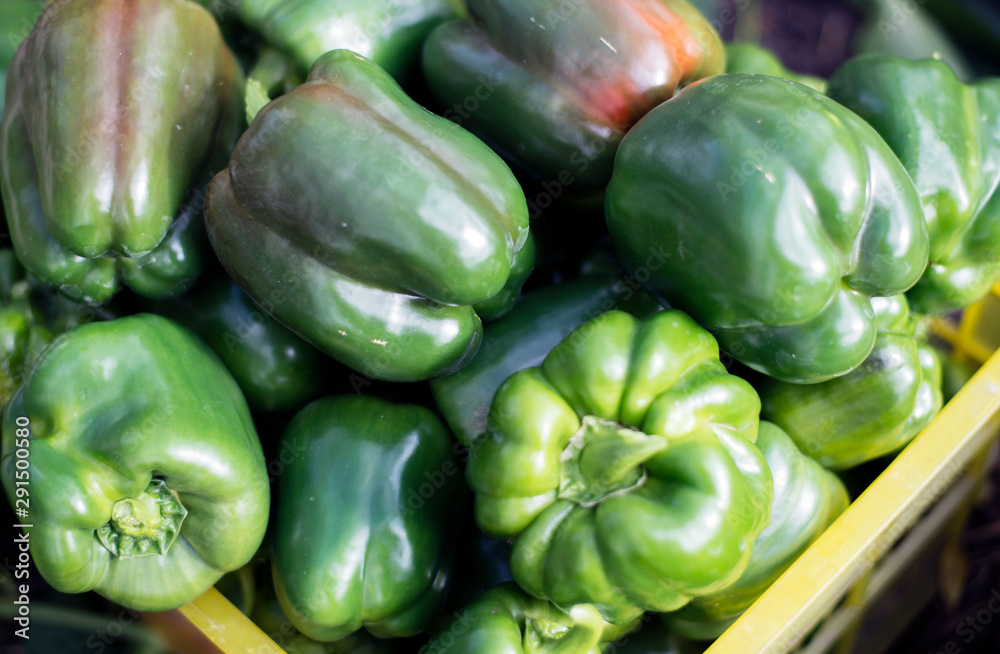 Large, ripe, green peppers in a vegetable box. Large, ripe, green peppers in a vegetable box.