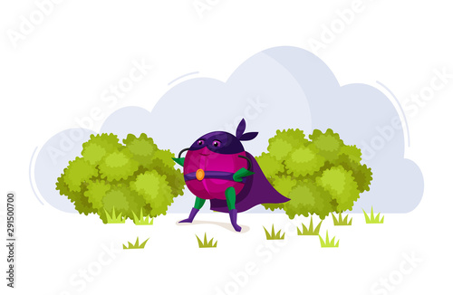 Funny cartoon characters fruits in superhero costumes