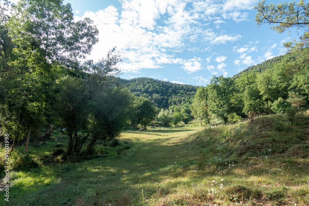 Natural environment of the town of Ripoll in Girona Natural environment of the town of Ripoll in Girona