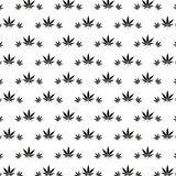Vector seamless monochrome marijuana pattern. Black leaves on white background.