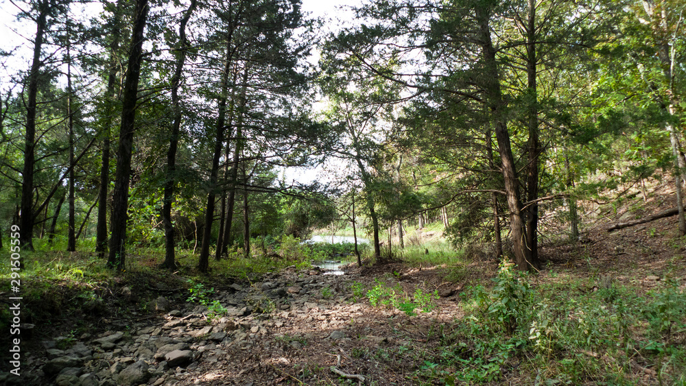 Rocky forest creek bed is dry trees overhanging and a lake in the distance