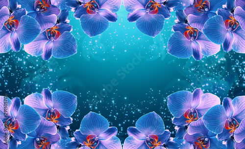 Glowing fantasy banner with magic and mysterious neon orchids and sparkle stars for flowers storefront design or florist shop decor
