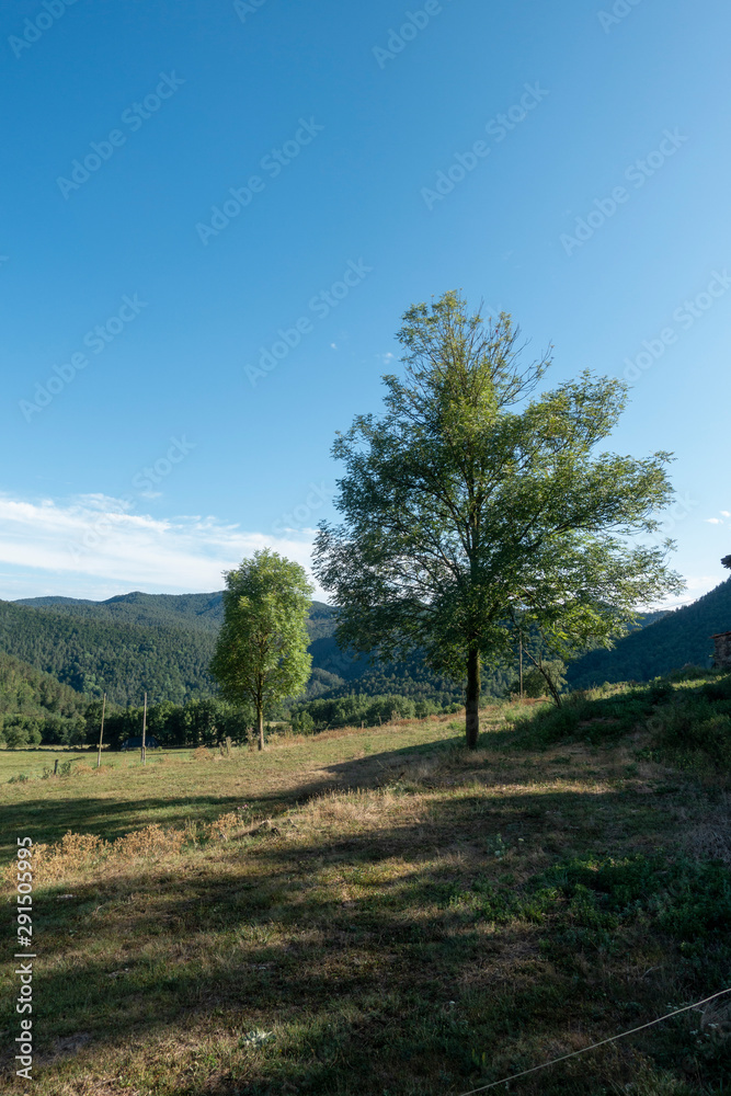 Natural environment of the town of Ripoll in Girona Natural environment of the town of Ripoll in Girona