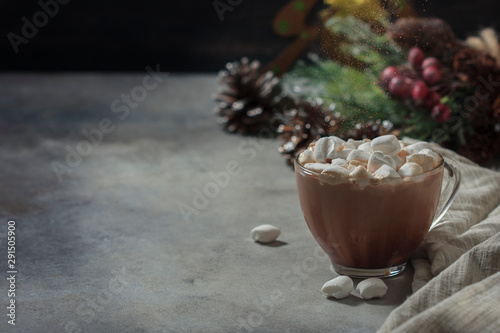 Homemade hot cocoa or hot chocolate with marshmallows. Traditional beverage for winter time. Christmas Holiday background.