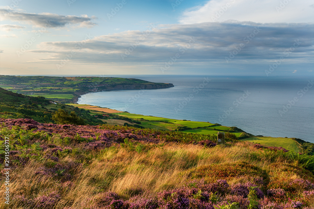 Looking out to Robin Hood's Bay from the hills above Ravenscar