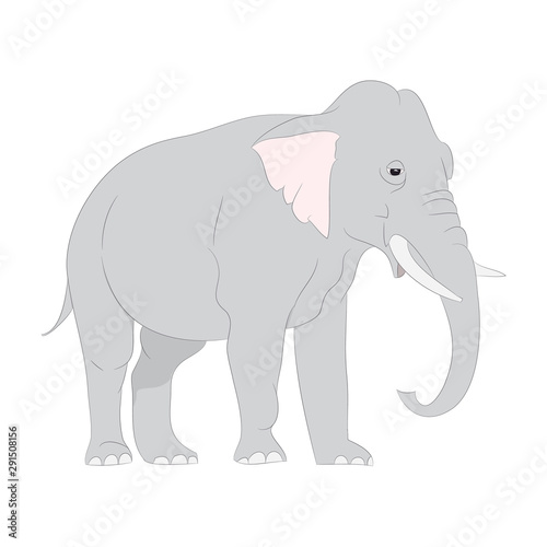 gray elephant walks vector  white background