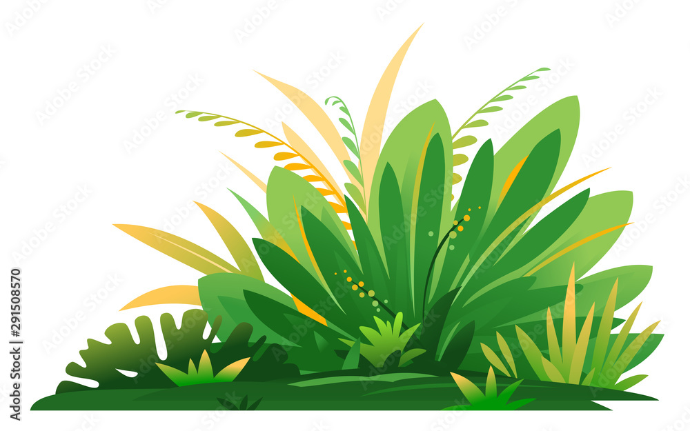 Decorative small composition of jungle plants on ground, group of green plants on the sunny lawn isolated, dense vegetation of the jungle - obrazy, fototapety, plakaty 