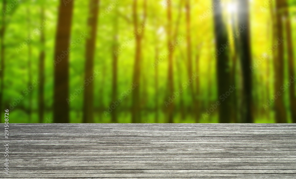Fototapeta premium wooden table forest