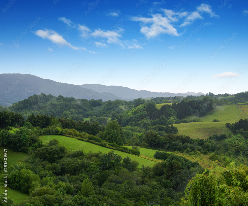 grassy field and hills grassy field and hills