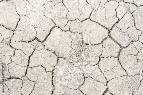 Crack soil on dry season, Global warming / cracked dried mud / Dry cracked earth background / The cracked ground, Ground in drought, Soil texture and dry mud, Dry land.
