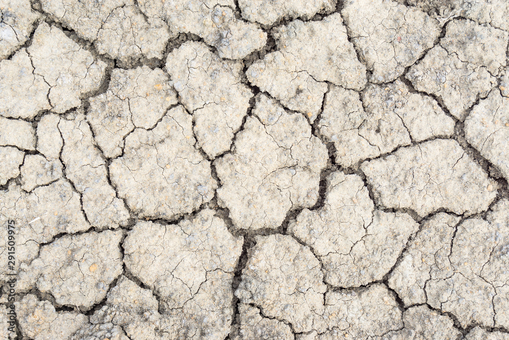 Crack soil on dry season, Global warming / cracked dried mud / Dry cracked earth background / The cracked ground, Ground in drought, Soil texture and dry mud, Dry land. Crack soil on dry season, Global warming / cracked dried mud / Dry cracked earth background / The cracked ground, Ground in drought, Soil texture and dry mud, Dry land.