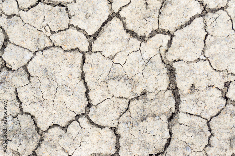 Crack soil on dry season, Global warming / cracked dried mud / Dry cracked earth background / The cracked ground, Ground in drought, Soil texture and dry mud, Dry land. Crack soil on dry season, Global warming / cracked dried mud / Dry cracked earth background / The cracked ground, Ground in drought, Soil texture and dry mud, Dry land.