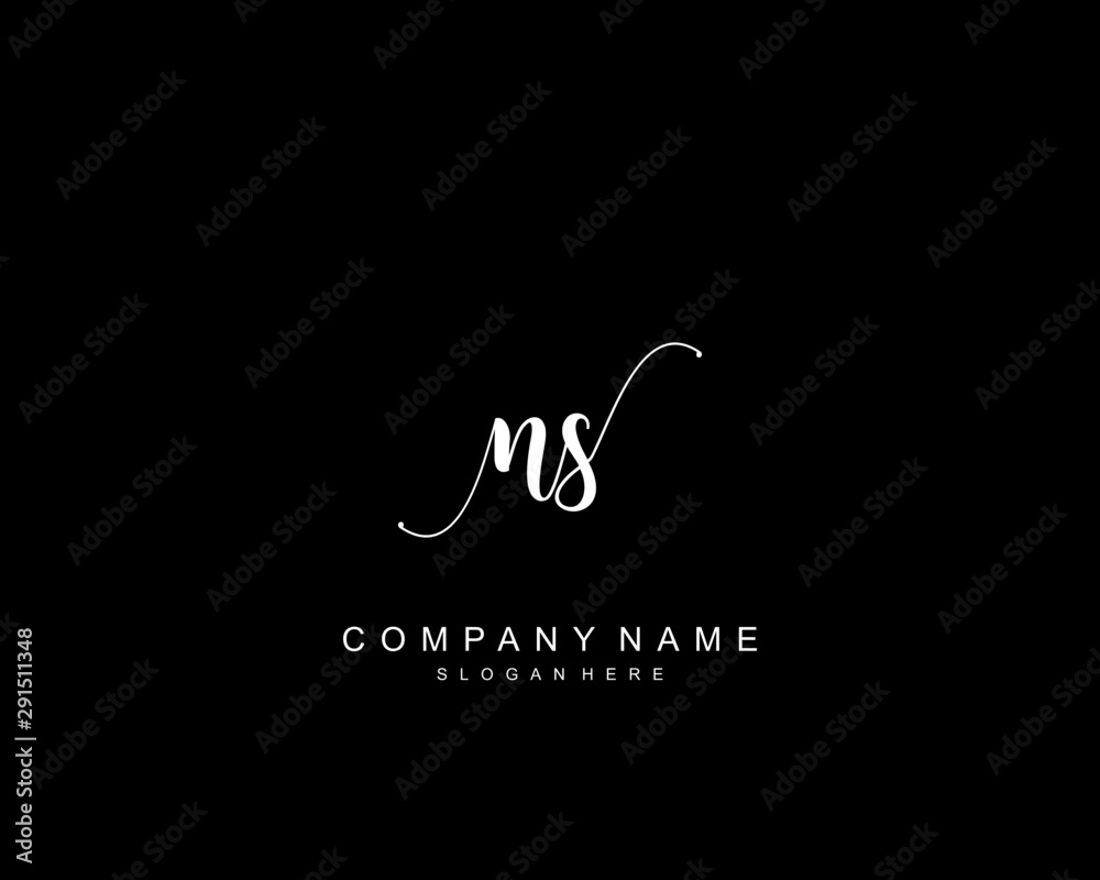 Initial NS beauty monogram and elegant logo design, handwriting logo of ...