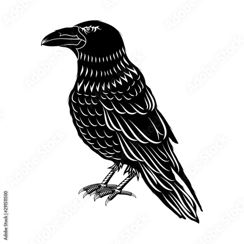 Black_Crow_0001