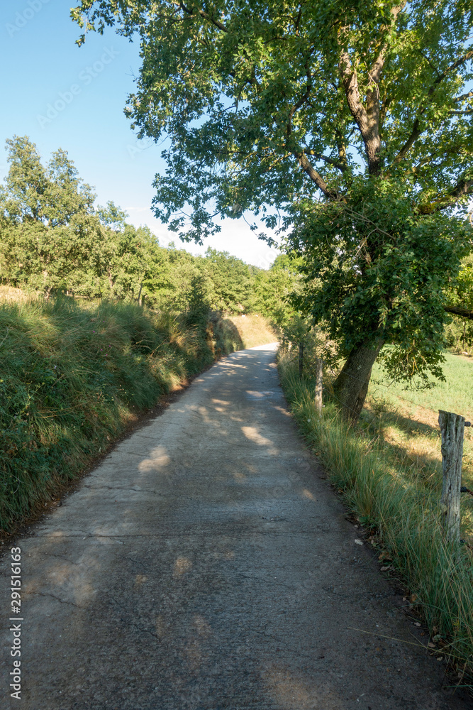 Natural environment of the town of Ripoll in Girona