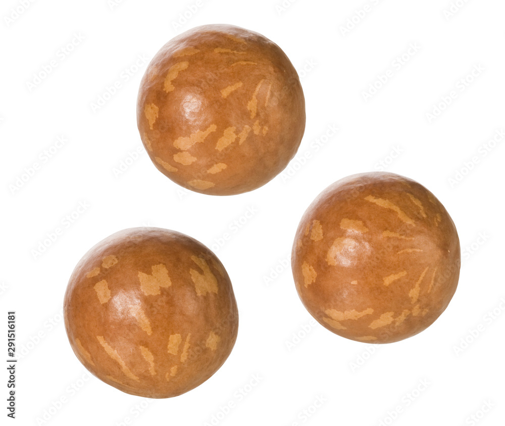 Macadamia Macadamia