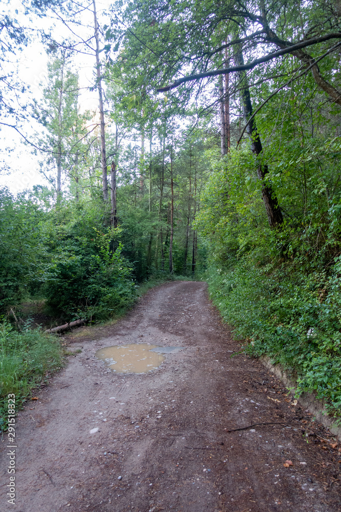 Natural environment of the town of Ripoll in Girona Natural environment of the town of Ripoll in Girona