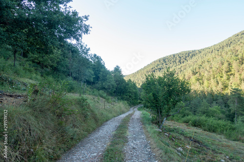 Natural environment of the town of Ripoll in Girona