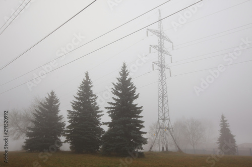Autumn landscape with power line and trees in the fog photo