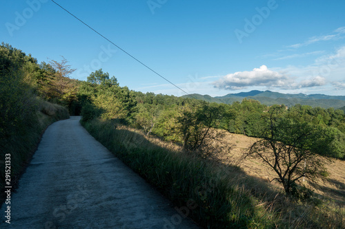 Natural environment of the town of Ripoll in Girona photo