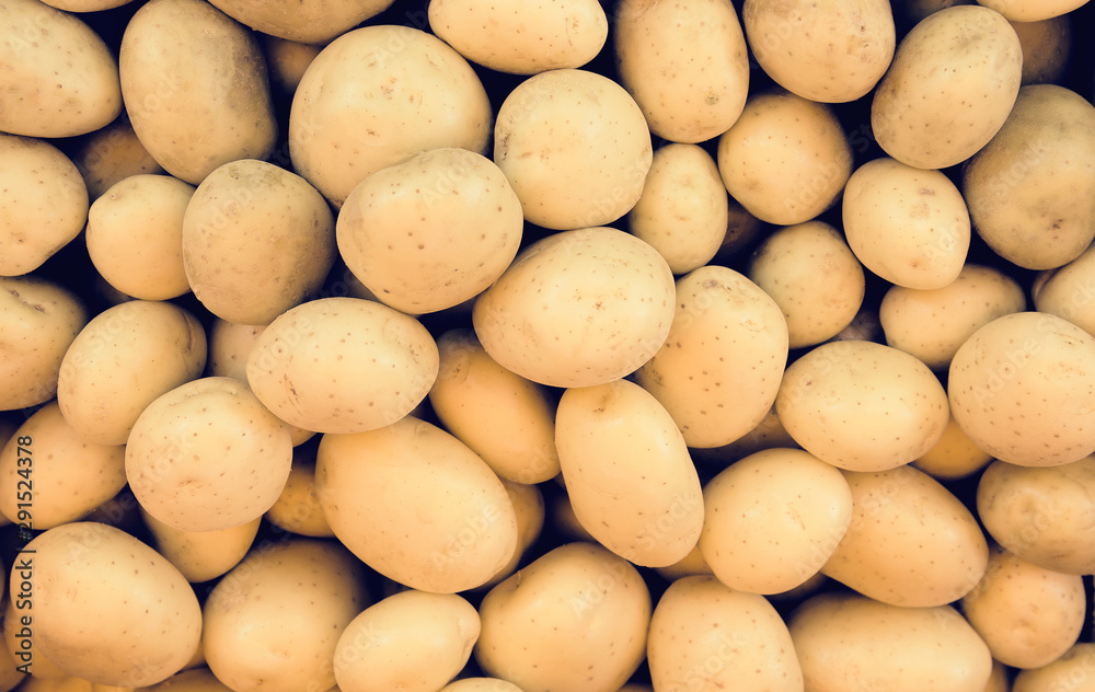 Fresh potato at the market. Food background concept Fresh potato at the market. Food background concept