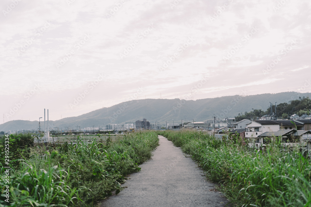 京都　大山崎の風景