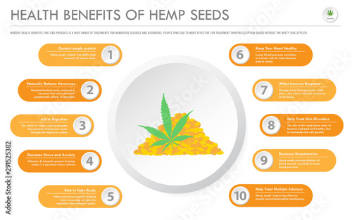 Health Benefits of Hemp Seeds horizontal business infographic illustration about cannabis as herbal alternative medicine and chemical therapy, healthcare and medical science vector.
