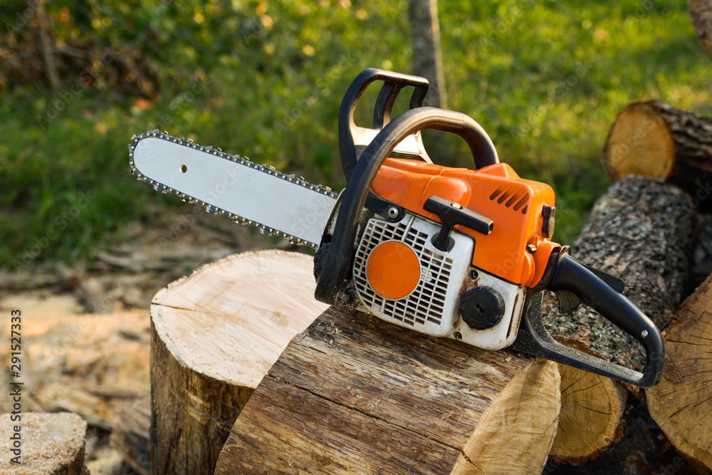  Chainsaw that stands on a heap of firewood in the yard on a beautiful background of green grass and forest.