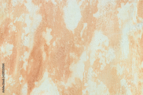 Background of old eucalyptus bark, woody texture