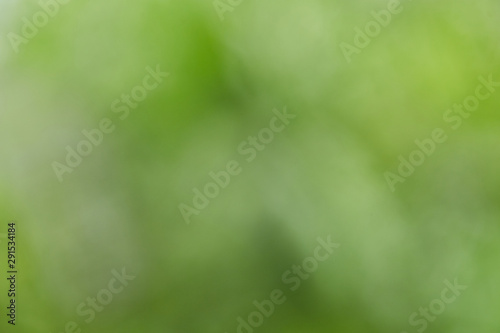 Abstract blurred of green nature background.