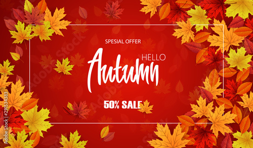 Autumn spesial offer sale on background with diferrent leaves. Design for banner  post  card  label