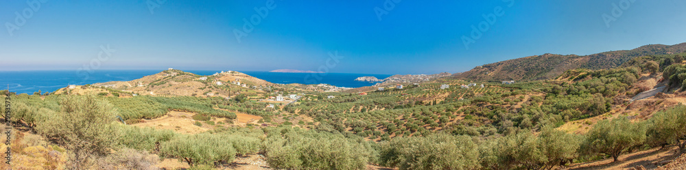 HD wallpaper. Panoramic view of agricultural farm with mountains and Aegean Sea on the background. Industrial agriculture growing olive trees. Growing olives. Olive trees Crete island Greece.